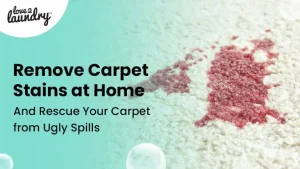 remove-carpet-stains-at-home